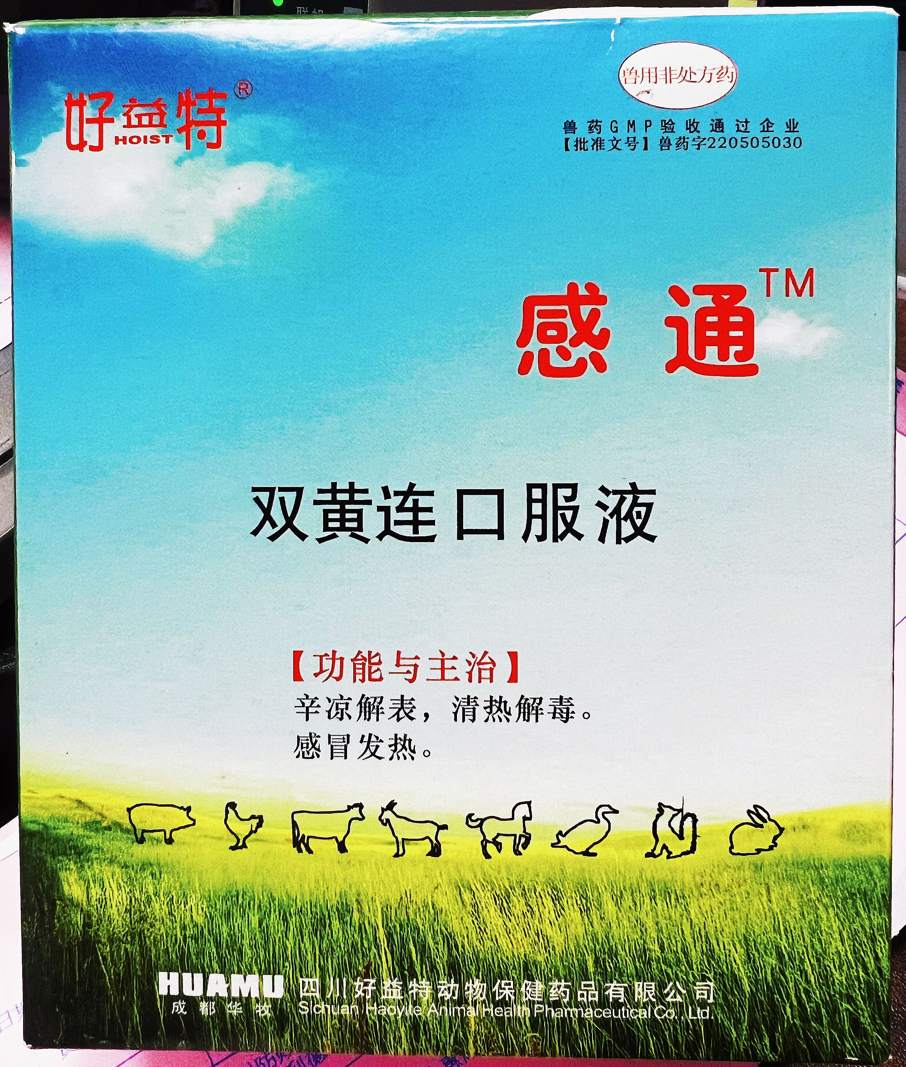雙黃連口服液，辛涼解表，清熱解毒，感冒發熱，體溫升高，發熱與惡寒同時并見