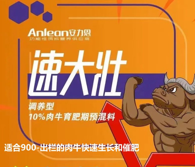 安力恩——速達(dá)壯調(diào)養(yǎng)型10%肉牛育成期預(yù)混料-適合900-出欄的肉牛快速生長(zhǎng)和催肥