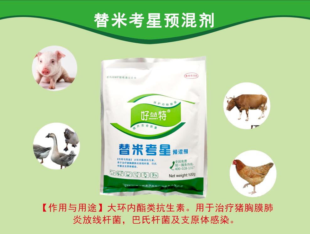 替米考星粉，呼吸道病更好的抗生素，主要防治家畜肺炎(由胸膜肺炎放線桿菌、巴氏桿菌、支原體等感染引起)、禽支原體病及泌乳動物的乳腺炎。