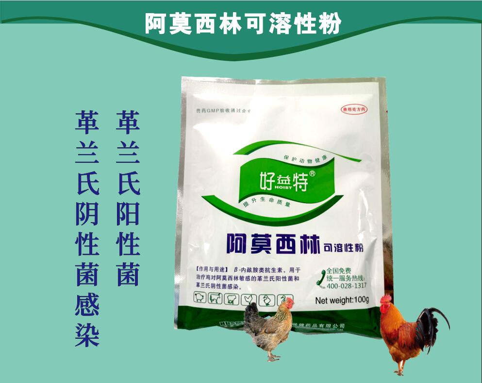 阿莫西林粉，治療動物革蘭氏陽性菌和革蘭氏陰性菌感染