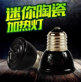 迷你陶瓷加熱燈爬蟲鬃獅夜燈保溫燈陸龜箱蜥蜴飼養(yǎng)箱爬寵箱加熱器