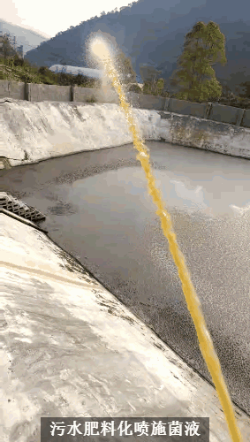 畜禽流體糞污快速發(fā)酵劑激活處理污水邊液態(tài)有機(jī)肥現(xiàn)場3.gif
