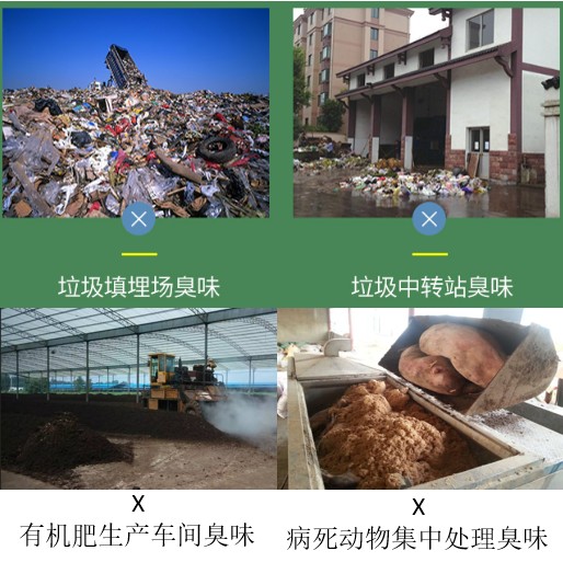 垃圾場、有機肥、病死動物處理臭味.jpg