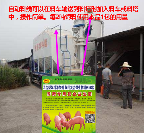 養(yǎng)豬專(zhuān)用復(fù)合益生菌添加到自動(dòng)料線中.png