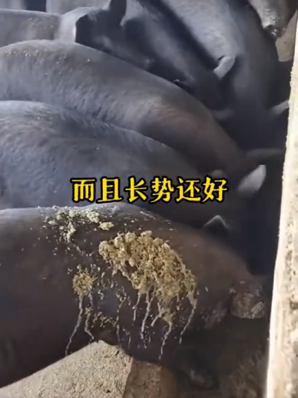 截圖20250903094736.png